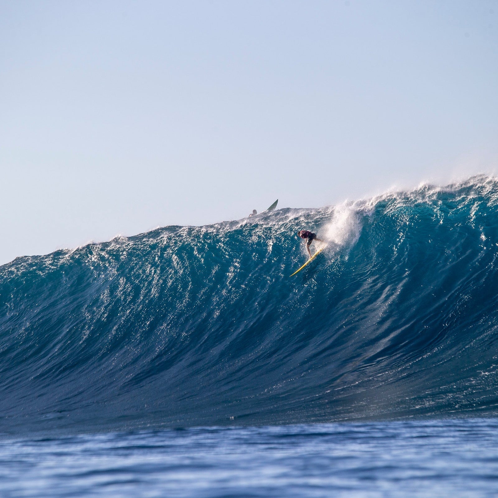 Eric Nicholson: September 2025 Tender Belly Athlete Feature