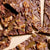 TB Bacon Bark
